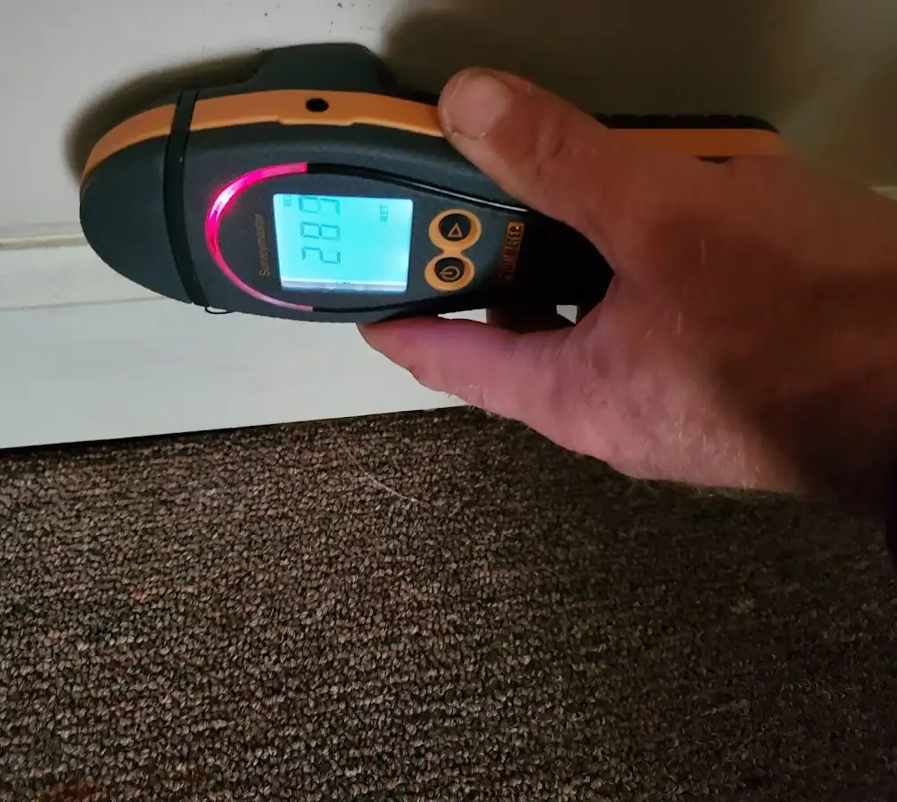 Moisture detection at baseboard during Sewage Cleanup & Sanitation in Topsfield